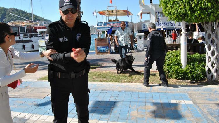 Kurt köpeğinin polislere saldırması kamerada