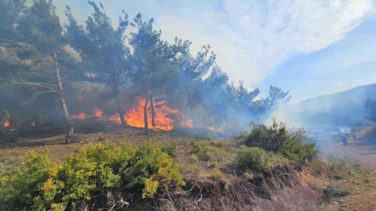 Hataydaki orman yangını, 20 saat sonra kontrol altında