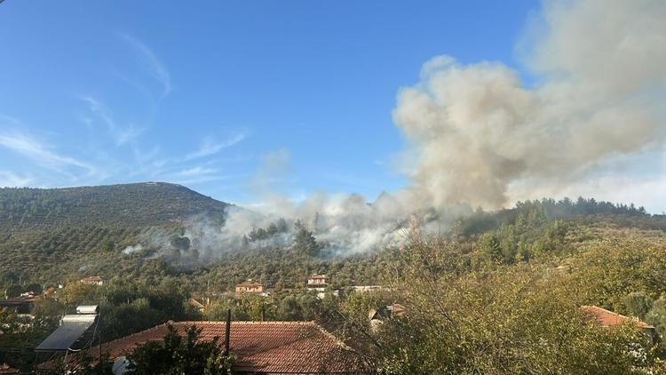 Muğla’nın Menteşe ilçesinde orman yangını