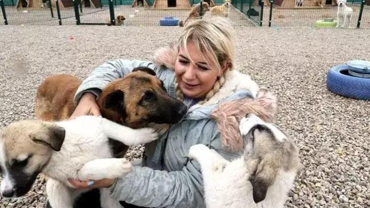 Hasta köpeklerin Ankaraya taşınması davasında, araç bilirkişi tarafından incelenecek