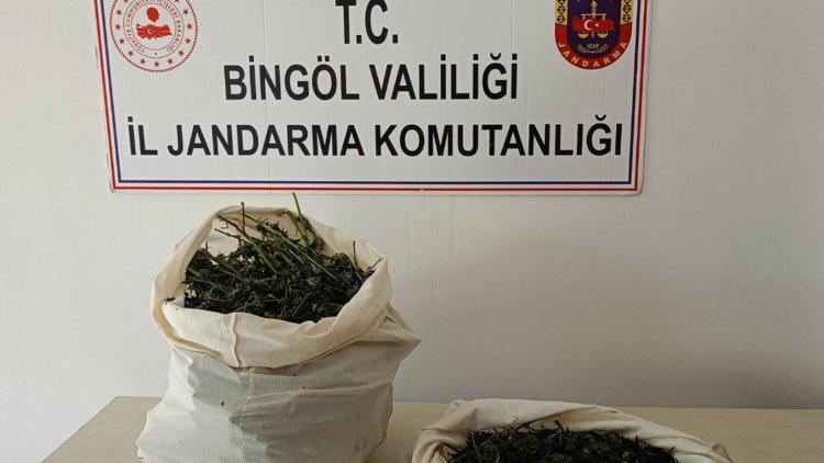 Bingöl’de 7 kilo 150 gram esrar gele geçirildi