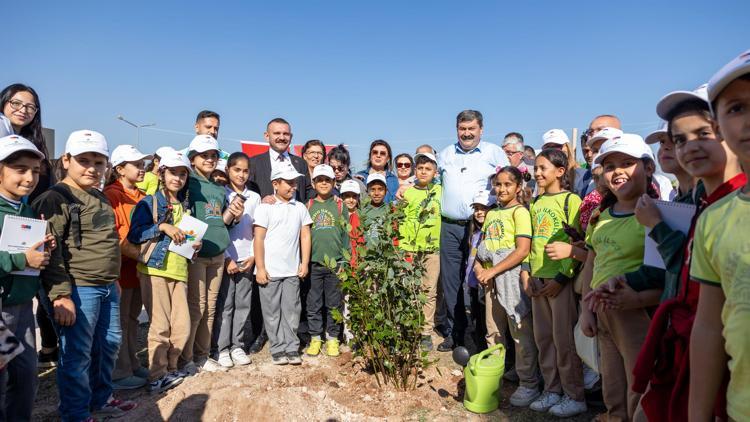 Mersin’e 30 dönümlük defne koruluğu