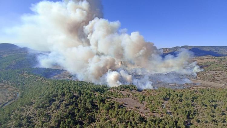 Bursa’nın 2 ilçesinde orman yangını