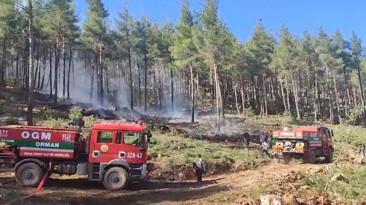 Bucakta orman yangını büyümeden söndürüldü