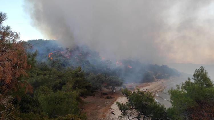 Edirne’de orman yangını