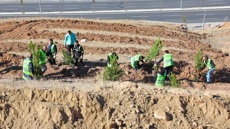 Sivas Belediyesi mevsimlik işçiler adına hatıra ormanı oluşturdu