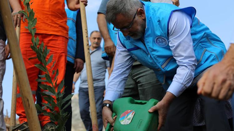 Türkiye Diyanet Vakfı, 800 bin fidanı toprakla buluşturdu