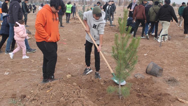 Sivas’ta geleceğe nefes için 11 bin fidan dikildi