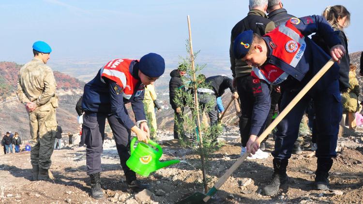 Manisada bu yıl çıkan 198 orman yangınında 5 bin 250 hektar alan zarar gördü