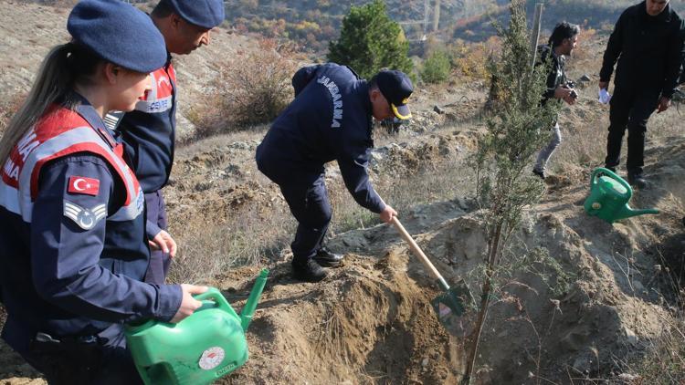 Samsun ve çevre illerde Milli Ağaçlandırma Gününde fidanlar toprakla buluştu