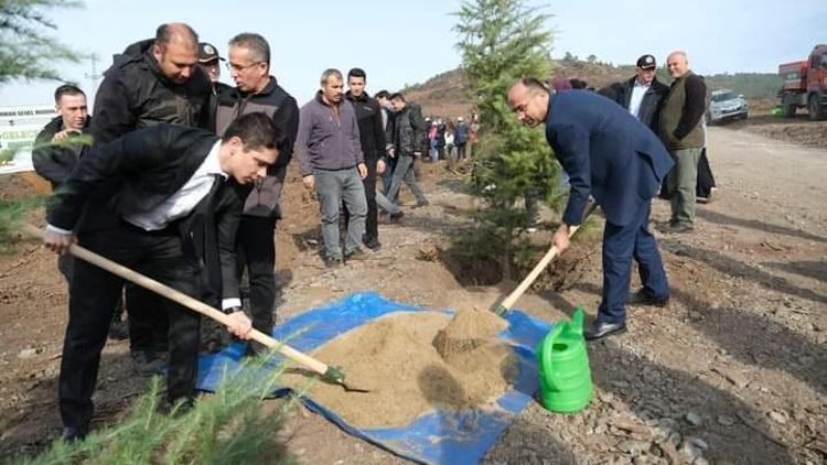 Orhanelide 300 fidan toprakla buluştu