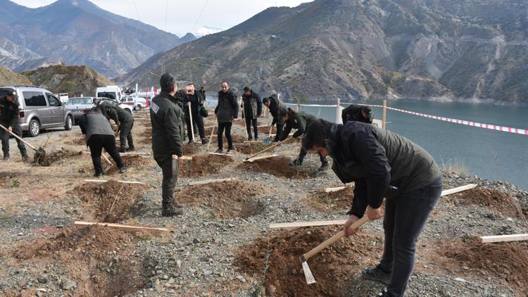 Orta ve Doğu Karadenizde fidanlar toprakla buluşturuldu