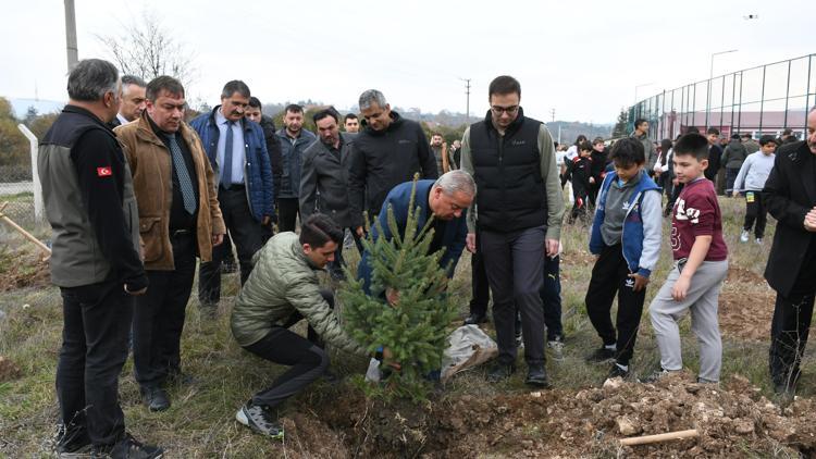 Boluda fidanlar toprakla buluştu