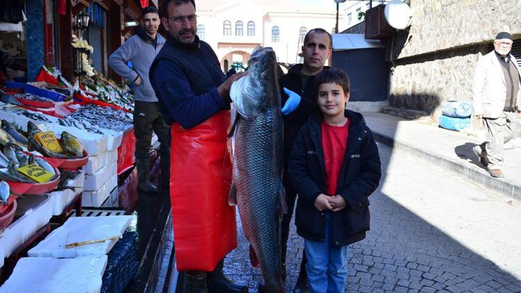 Elazığ’da 69 kiloluk turna balığı, tezgahta ilgi odağı oldu