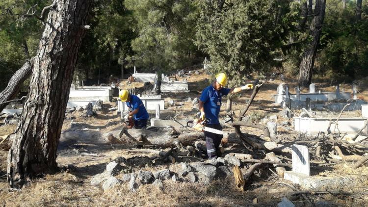 Muğlada odunlar ihtiyaç sahiplerine yakacak oluyor