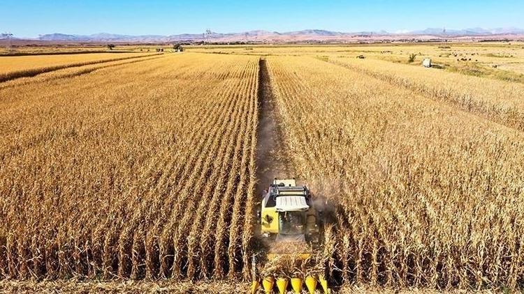 Tarım Bakanlığı açıkladı: 33 soruda planlı üretim rehberi