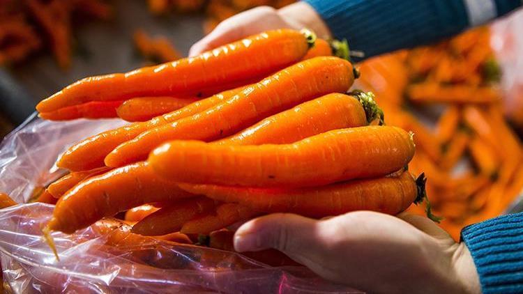 Marketlerden toplatıldı Havuçta E. Coli salgını... 1 kişi öldü