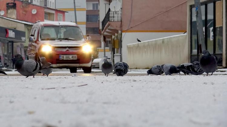 Kars, Ardahan, Ağrı ve Tuncelide kar yağışı etkili oldu