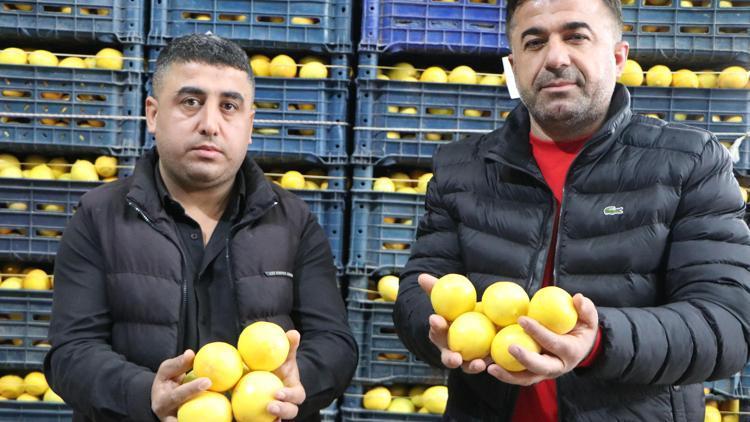 Limonda hal-market makası 10 katı aştı