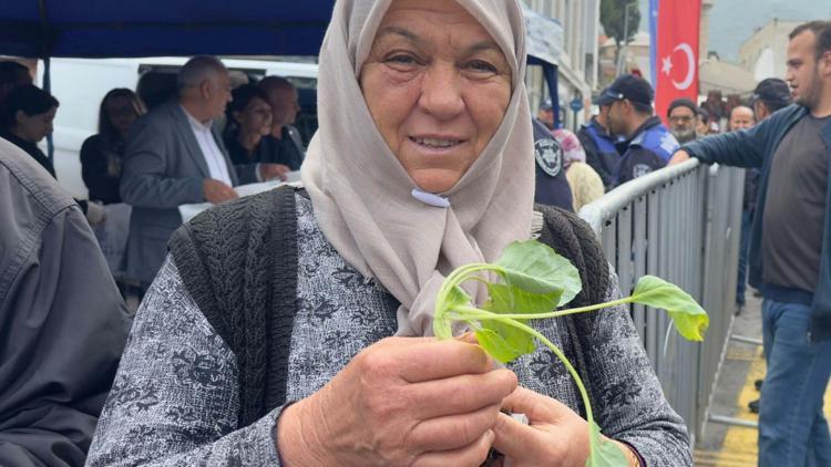 Aydında fide dağıtımı yapıldı