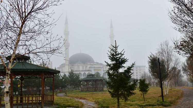 Ardahan’da sis etkili oldu