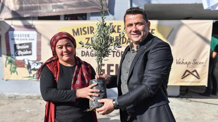 Mersinde çiftçiye zeytin fidanı ve mısır flake yem desteği