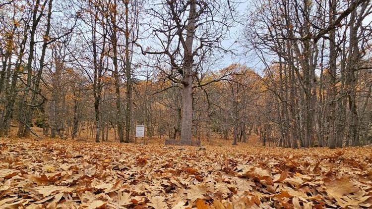 Yer: Isparta... Dünyada tek, özel izinle giriliyor