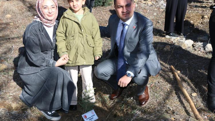 Üzerine kaya düşen otomobilde ölen 4 öğretmen için hatıra ormanı