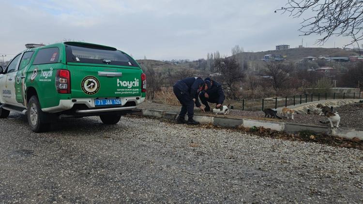 Karakeçilide jandarma ekipleri kedi ve köpekler için sokaklara mama bıraktı