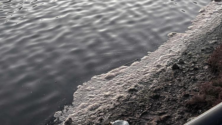 Muğlada Tuzla Sulak Alanı köpürdü