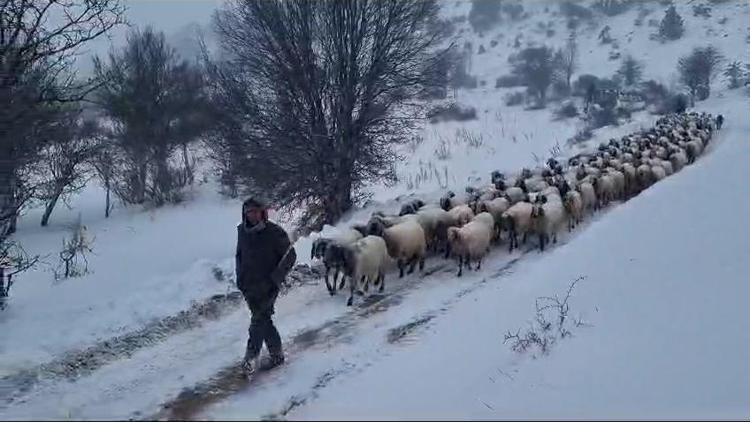 Karda mahsur kalan vatandaşların ve hayvanların imdadına büyükşehir koşuyor