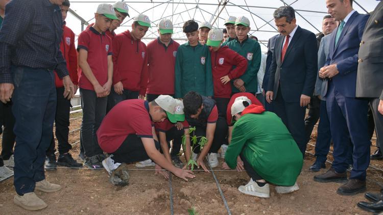 Silopi’de tropikal meyve fideleri dikildi