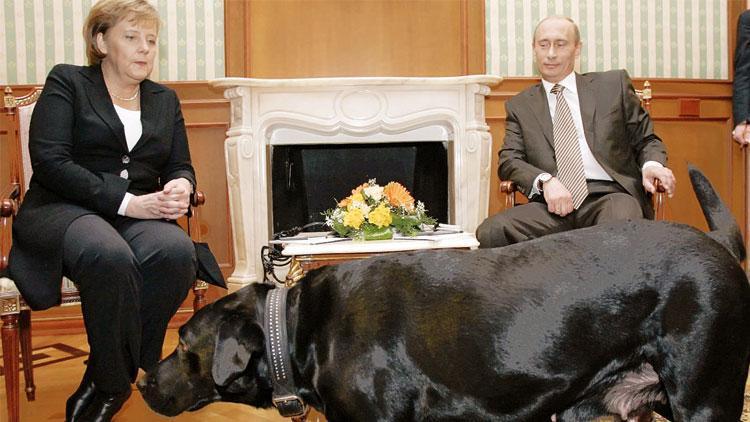 Putin’den Merkel’e 17 yıl sonra ‘köpek özrü’