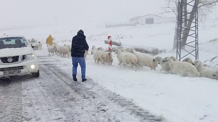 Meteoroloji açıkladı: Türkiyede en soğuk yer burası oldu