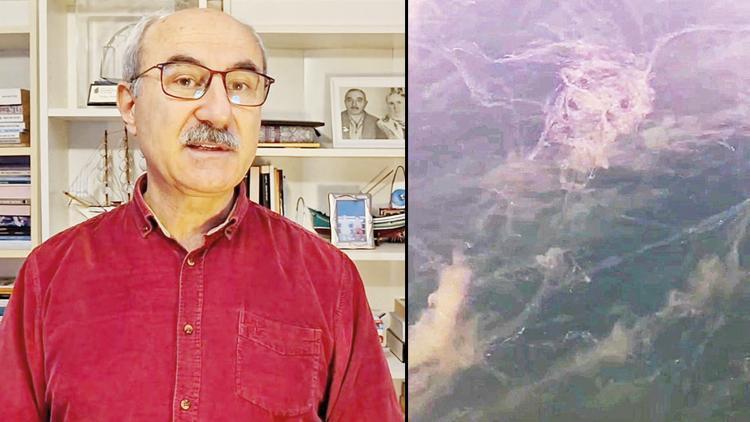 Prof. Dr. Sarı: Müsilaj örümcek ağı gibi bütün Marmara’yı sardı