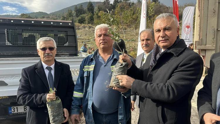 Hatay’da çiftçilere 4 bin adet alıç fidanı dağıtıldı