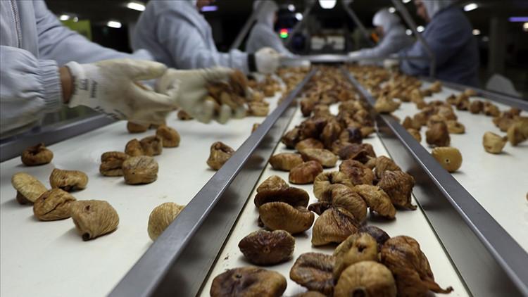 Tarım ve Orman Bakanlığı: İhracat aşamasında geri dönen ürünler imha ediliyor