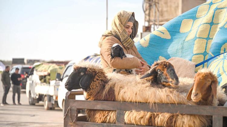 5 günde 200 bin Suriyeli yer değiştirdi... Koyunlarını kuzularını alıp yola çıktılar