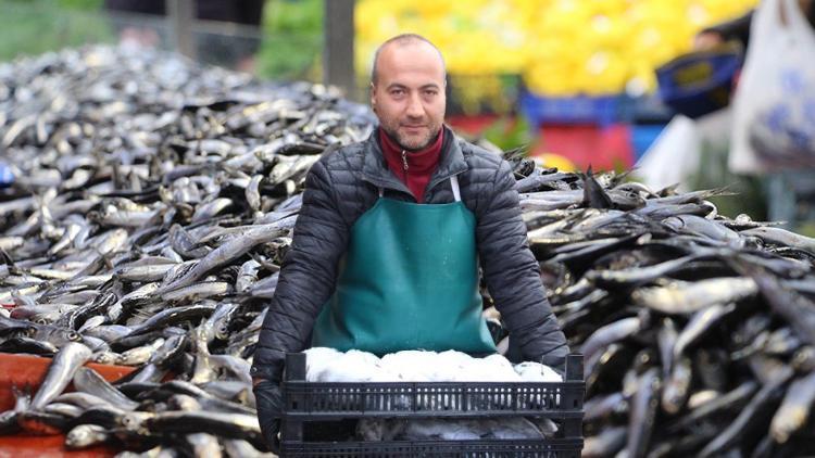 Hamsinin fiyatı düştü, vatandaş büyük rağbet gösterdi