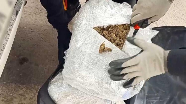 Malatyada 16 kilo 300 gram skunk ele geçirildi