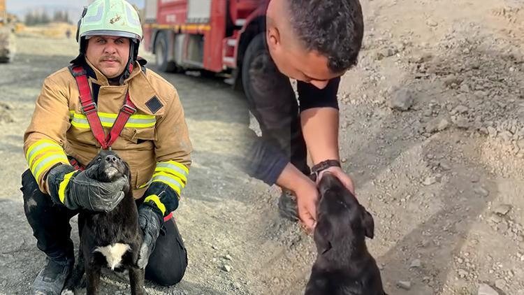 Kuyuya düşen yavru köpeği itfaiye kurtardı