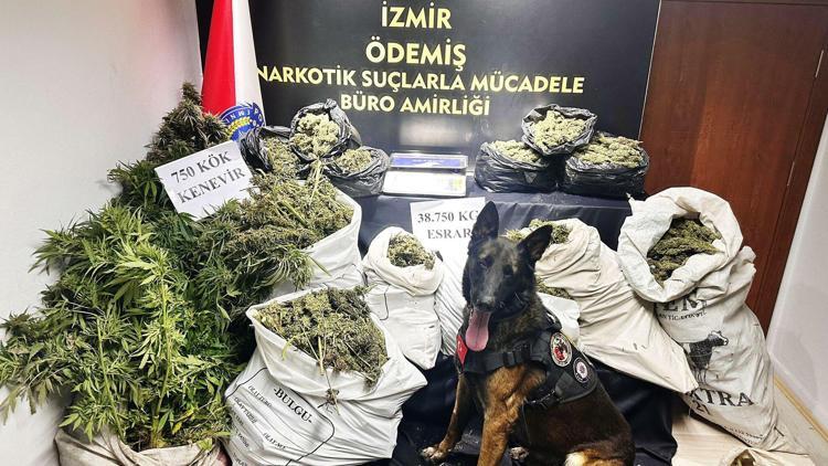 İzmirde 38 kilo 750 gram esrar ele geçirildi