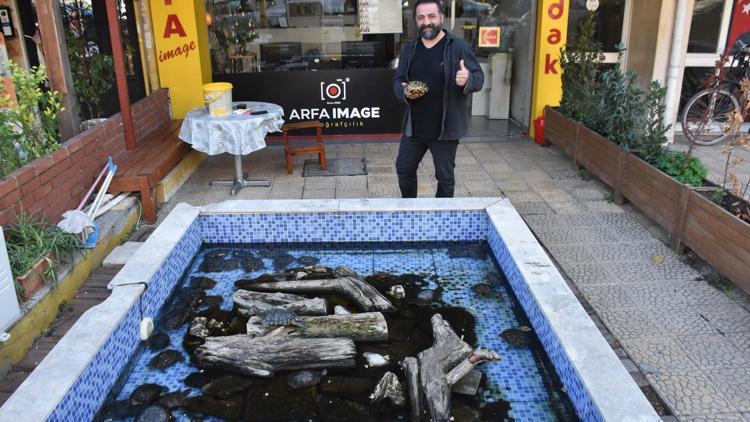 İzmirli fotoğrafçı, yılda 500 kaplumbağayı dükkanın önündeki havuzda besliyor