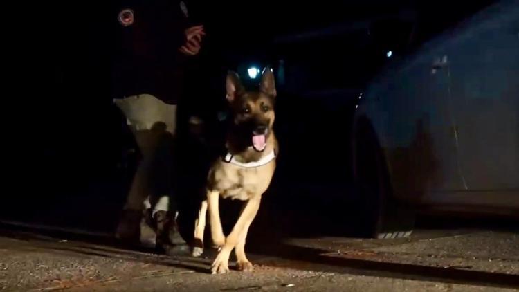 Narkotik köpeği ‘Pars’, kasım ayının en başarılısı seçildi