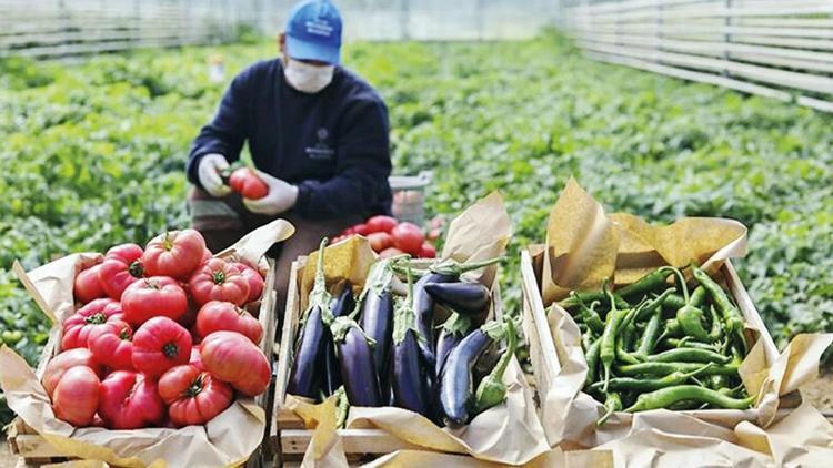 Tarımda üretici enflasyonu arttı Tarımda üretici enflasyonu arttı