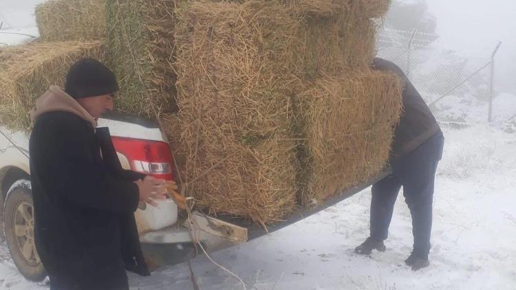 Kırşehirde yaban hayvanları için doğaya yem bırakıldı