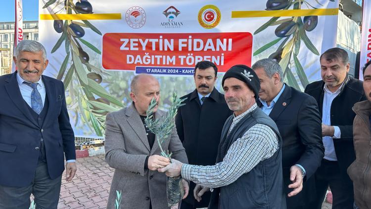 Adıyamanda çiftçilere zeytin fidanı dağıtıldı