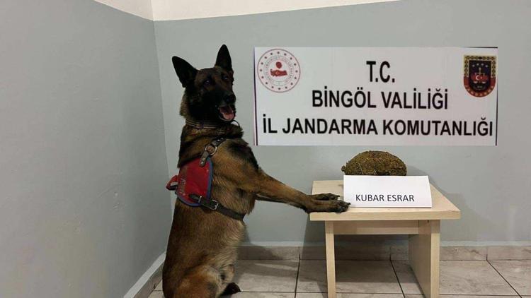 Bingöl’de aranan 3 şüpheli yakalandı