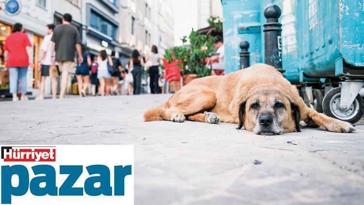 Yönetmelik yayımlandı: Karamel için endişeler arttı