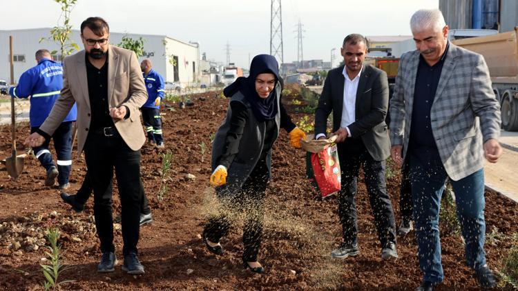 Akdeniz yeni bir yeşil alan kazanıyor